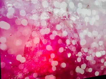 蜷川実花展 with EiM：彼岸の光、此岸の影 NINAGAWA Mika with EiM：Lights of the beyond, Shadows of this worldに投稿された画像（2025/3/9）