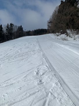 村上市ぶどうスキー場に投稿された画像（2025/3/9）