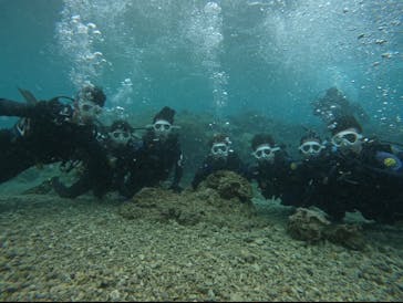 武藤潜水に投稿された画像（2025/3/9）