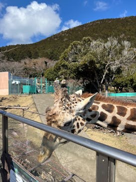 伊豆アニマルキングダムに投稿された画像（2025/3/9）