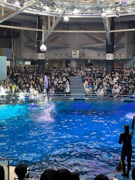 マクセル アクアパーク品川に投稿された画像（2025/3/9）