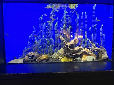 サンシャイン水族館に投稿された画像（2025/3/9）