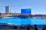 名古屋港水族館に投稿された画像（2025/3/9）