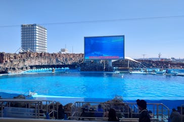 名古屋港水族館に投稿された画像（2025/3/9）