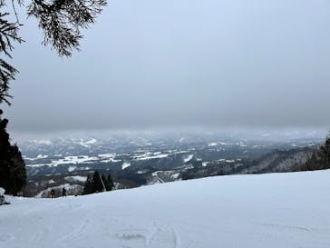 ホワイトピアたかすに投稿された画像（2025/3/9）