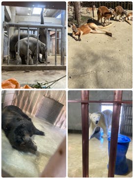 名古屋市東山動植物園に投稿された画像（2025/3/9）