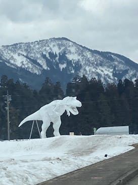 福井県立恐竜博物館に投稿された画像（2025/3/9）