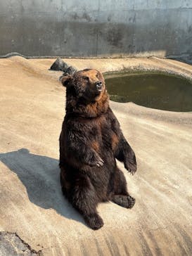 阿蘇カドリー・ドミニオンに投稿された画像（2025/3/9）