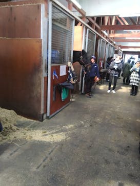 ノーザンホースパークに投稿された画像（2025/3/9）