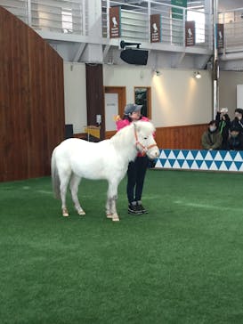 ノーザンホースパークに投稿された画像（2025/3/9）