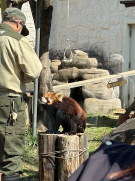 天王寺動物園に投稿された画像（2025/3/9）