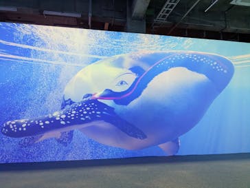 動き出す浮世絵展 TOKYOに投稿された画像（2025/3/9）