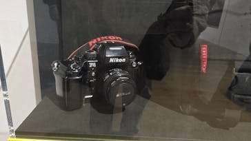 ブルックリン博物館所蔵 特別展 古代エジプトに投稿された画像（2025/3/9）