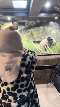 恩賜上野動物園に投稿された画像（2025/3/9）