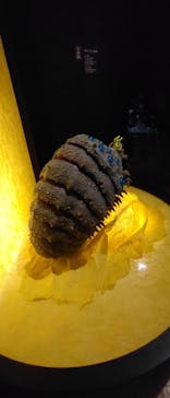 金曜ロードショーとジブリ展　三重展に投稿された画像（2025/3/9）