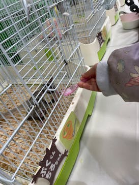 いきもの探検隊上尾に投稿された画像（2025/3/9）