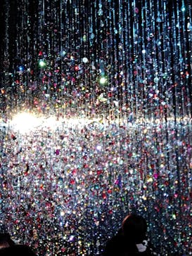 蜷川実花展 with EiM：彼岸の光、此岸の影 NINAGAWA Mika with EiM：Lights of the beyond, Shadows of this worldに投稿された画像（2025/3/9）