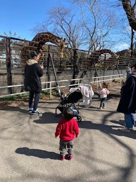 宇都宮動物園に投稿された画像（2025/3/9）