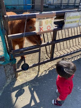 宇都宮動物園に投稿された画像（2025/3/9）