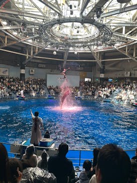 マクセル アクアパーク品川に投稿された画像（2025/3/9）