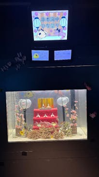 串本海中公園水族館に投稿された画像（2025/3/9）