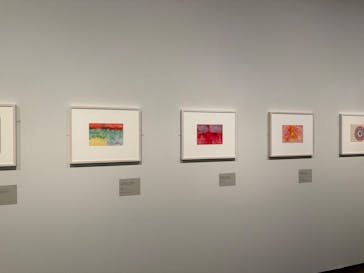 ヒルマ・アフ・クリント展（東京国立近代美術館）に投稿された画像（2025/3/9）