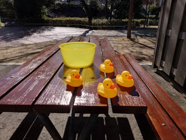 西武園ゆうえんちに投稿された画像（2025/3/9）