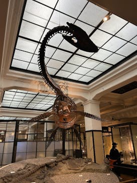 国立科学博物館に投稿された画像（2025/3/9）