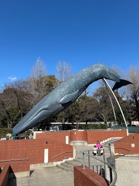 国立科学博物館に投稿された画像（2025/3/9）