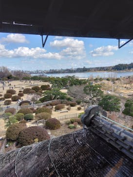 偕楽園本園に投稿された画像（2025/3/9）