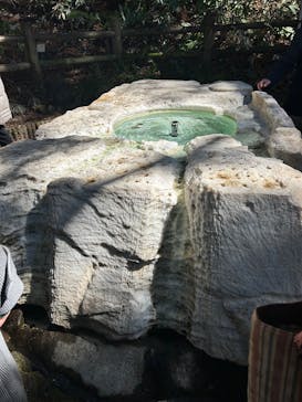 偕楽園本園に投稿された画像（2025/3/9）