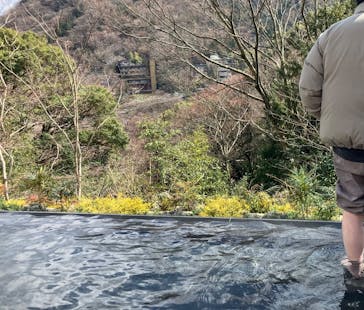 彫刻の森美術館に投稿された画像（2025/3/9）