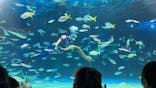 サンシャイン水族館に投稿された画像（2025/3/9）
