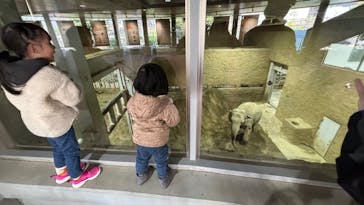 東京動物園協会_多摩動物公園に投稿された画像（2025/3/9）