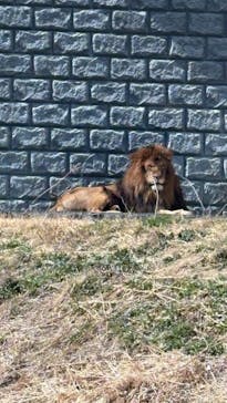 東京動物園協会_多摩動物公園に投稿された画像（2025/3/9）