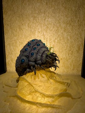 金曜ロードショーとジブリ展　三重展に投稿された画像（2025/3/9）