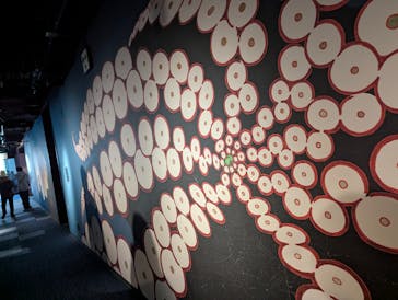 四国水族館に投稿された画像（2025/3/9）