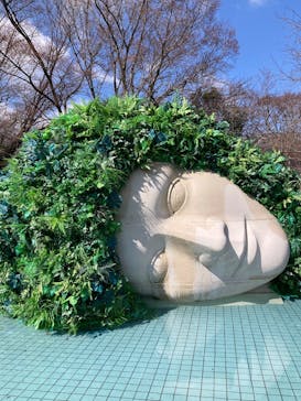 彫刻の森美術館に投稿された画像（2025/3/9）