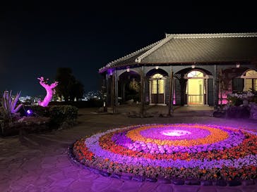 グラバー園に投稿された画像（2025/3/9）