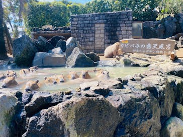 伊豆シャボテン動物公園に投稿された画像（2025/3/9）