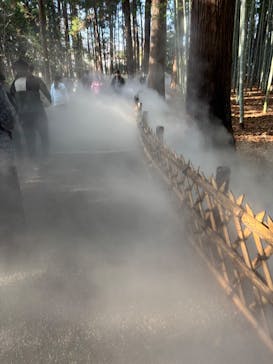 偕楽園本園に投稿された画像（2025/3/9）