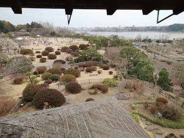 偕楽園本園に投稿された画像（2025/3/9）