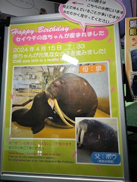 大分マリーンパレス水族館 「うみたまご」に投稿された画像（2025/3/9）