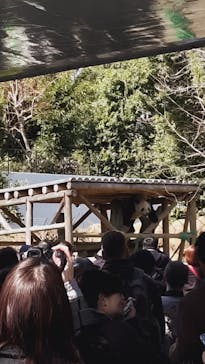 恩賜上野動物園に投稿された画像（2025/3/9）