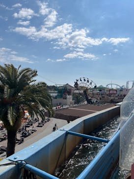 浜名湖パルパルに投稿された画像（2025/3/9）