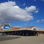 アクアワールド茨城県大洗水族館に投稿された画像（2025/3/10）