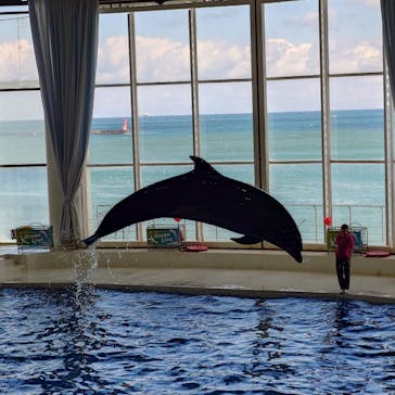 アクアワールド茨城県大洗水族館に投稿された画像（2025/3/10）