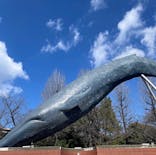 国立科学博物館に投稿された画像（2025/3/10）