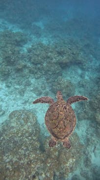  マリンショップHAPPYに投稿された画像（2025/3/10）