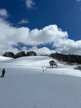 菅平高原スノーリゾートに投稿された画像（2025/3/10）